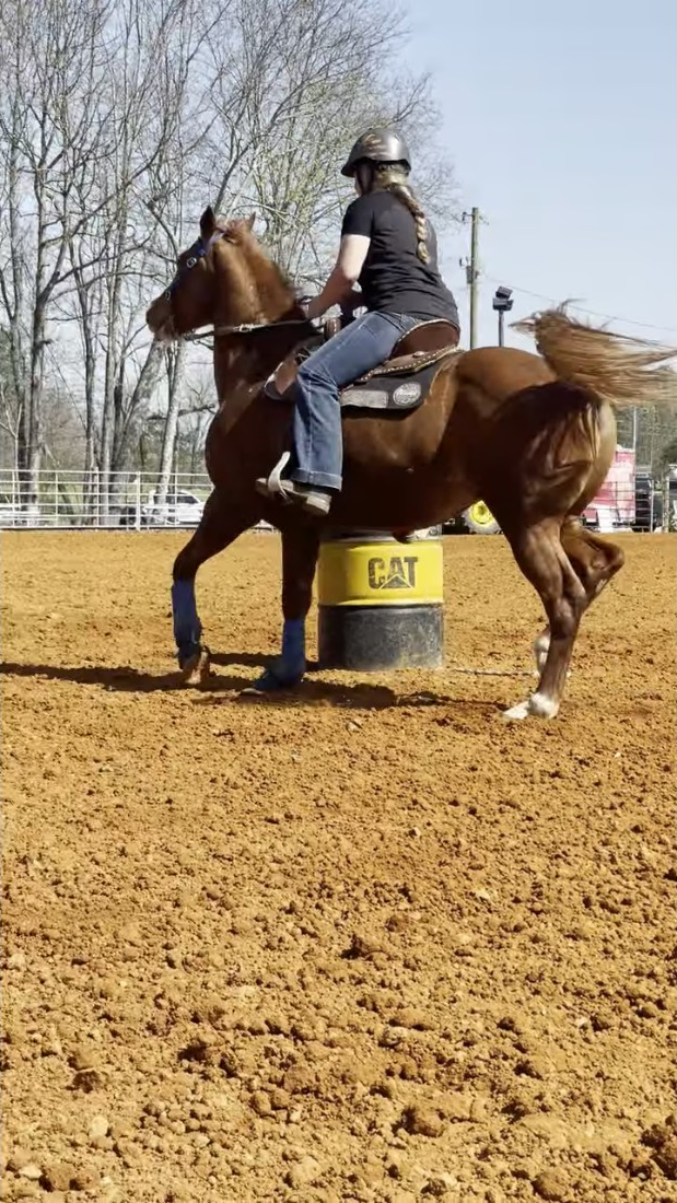 Katie Grace Equine